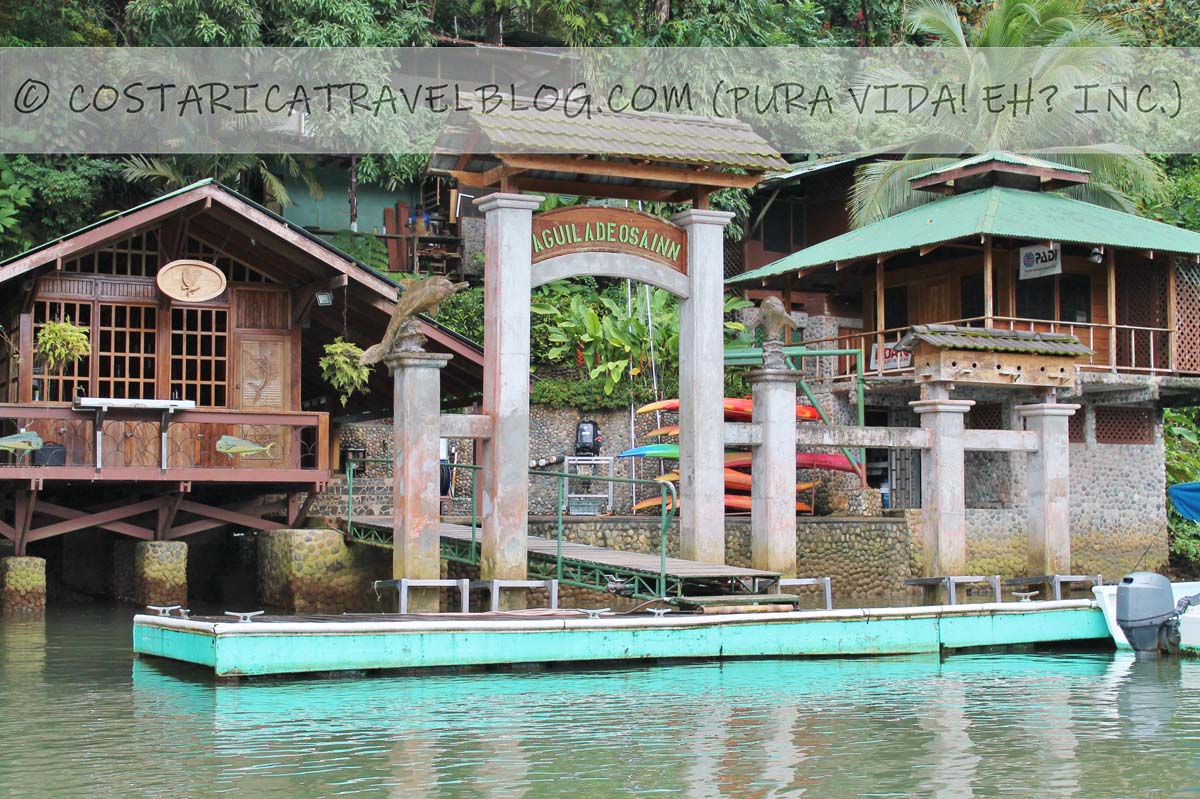 Destination Drake Bay, Costa Rica DIY Costa Rica